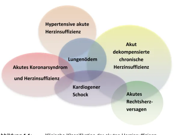 Abbildung 1.1:  Klinische Klassifikation der akuten Herzinsuffizienz  (modifiziert nach [2]) 