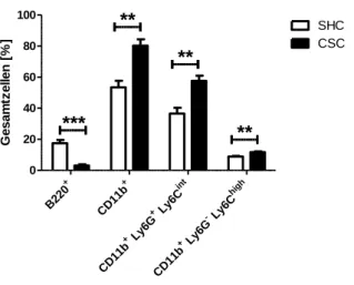Abbildung  3.3:  Zusammensetzung  an  Lymphozyten  und  myeloiden  Zellen  im  Knochenmark  nach  19d  CSC: Nach 19d CSC wurden der linke Femur von SHC-Kontrolltieren und CSC-gestressten Tieren entnommen,  Knochenmarkszellen  isoliert  und  die Zusammenset