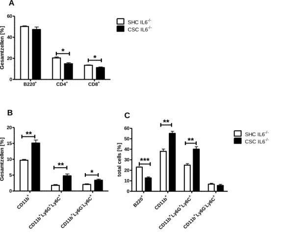 Abbildung  3.8:  Zusammensetzung  an  Lymphozyten  und  myeloiden  Zellen  nach  19d  CSC  in  Milz    und  Knochenmark  von  IL-6 -/-   Tieren:  Nach  19d  CSC  wurden  die  Milzen  von  SHC-Kontrolltieren  und  CSC-  gestressten  IL-6 -/-   Tieren  entno