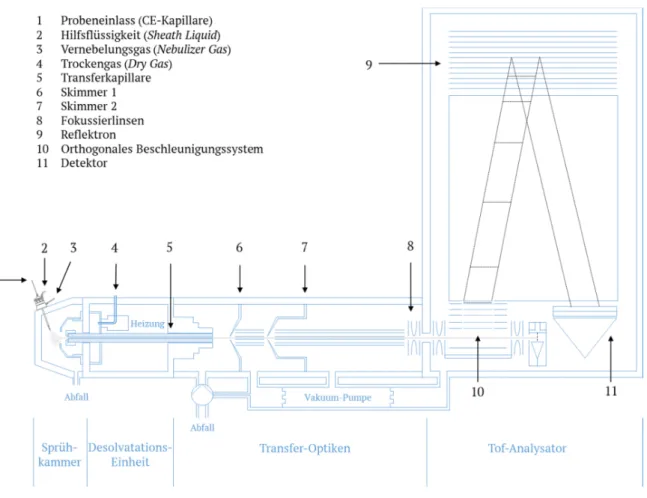 Abb. 6.  Schematische  Darstellung  eines  Flugzeit-Massenspektrometers  mit  ESI-Quelle