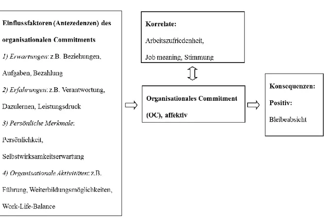 Abbildung  1.2:  Angepasstes  Modell  der  Einflussfaktoren,  Korrelate  und  Konsequenzen  von OC 