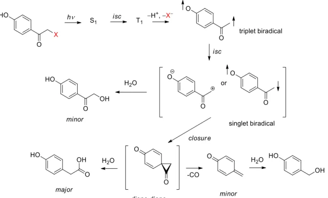 Figure 14: Mechanism of the deprotection of a pHP photoremovable protecting group. 30,52 After  excitation  of  pHP,  a  short-lived  (τ S   ~  4  ps)  singlet  state  is  formed