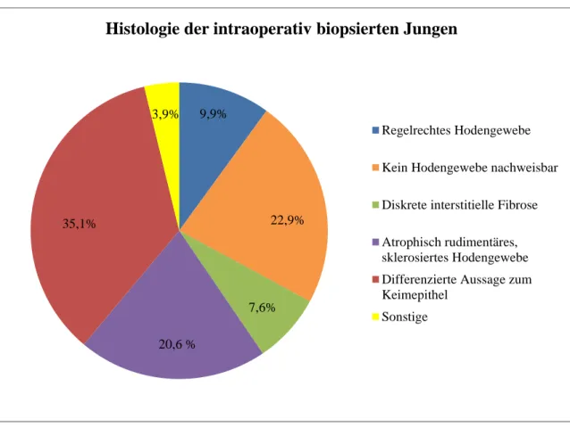 Abb.  9:  Darstellung  der  prozentualen  Anteile  der  histologischen  Ergebnisse  der  131  Hoden,  die  intraoperativ  biopsiert wurden, eingeteilt in sechs Gruppen