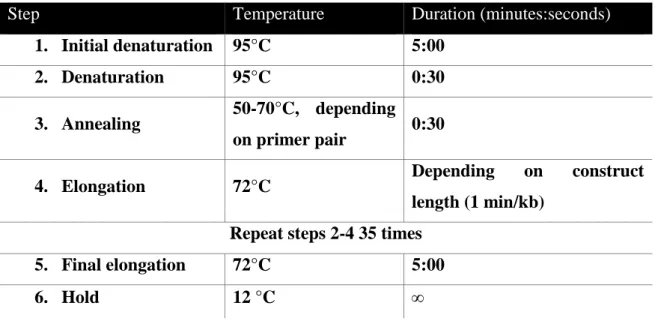 Table 3-9: Standard PCR program 