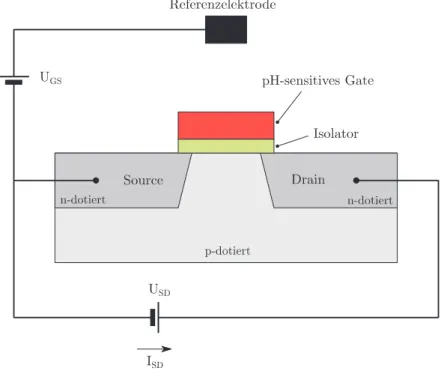 Abbildung 16: Querschnitt eines pH-sensitiven, ionenselektiven Feldeffekttran- Feldeffekttran-sistors