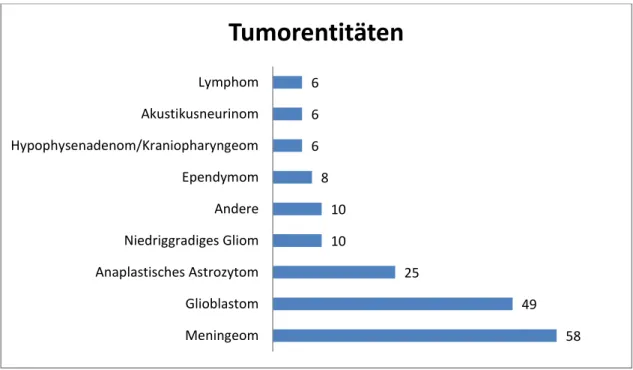 Abbildung  9:  Anzahl  der  Tumorentitäten  Lymphom,  Akustikusneurinom,  HPA/KPO,  Ependymom,  „Andere“,  Niedriggradiges  Gliom,  Anaplastisches  Astrozytom,  Glioblastom,  Meningeom im Gesamtpatientengut in absoluten Zahlen 