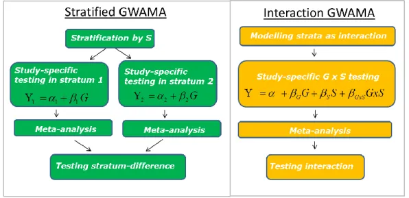 Figure 3. Modelling G x S interaction effects in large-scale GWAMAs.  