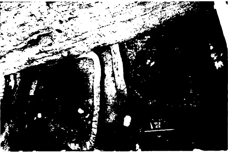 Abb.  11:  G ebäudereste  in  einer  der  G rabungsflächen  von  Kastaņas.  Man  sieht  die  Mauer-  Stümpfe  zweier  Häuser,  deren  Wände  mit  lu ftg e tro c k n e te n   Lehmziegeln  gebaut  waren  (Mykenische Zeit, Schicht  16,14