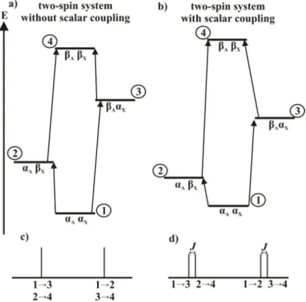 Figure 4.5: The effect of J -coupling on the energy levels of a two-spin system. a) A two-spin system in the absence of J -coupling has four different energy levels