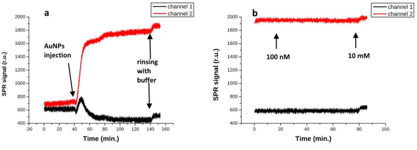 Figure 3.21:  SPR sensorgrams obtained after injection of thiolated-ADP functionalized AuNPs  (channel 2) and non- non-functionalized AuNPs (channel 1) on Zn 2  doped DOPC supported membranes (a)