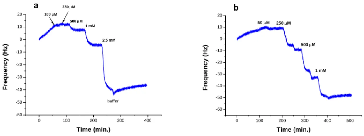 Figure 3.23: Binding curves for the peptide I obtained after consecutive injections of increasing concentrations of peptide