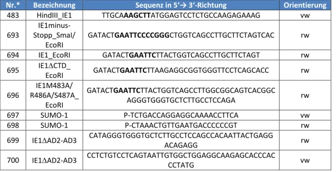 Tab. 3.1:Oligonukleotide für Klonierungen 