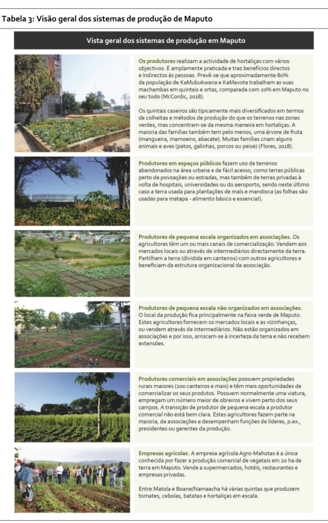 Tabela 3: Visão geral dos sistemas de produção de Maputo 