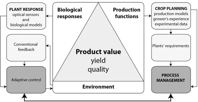 Figure 1.1.: In terms of phytomonitoring techniques the integration of optical sensors for measuring plant responses provides an improved process management through the hole product chain (modified from Sigrimis et al., 1999)