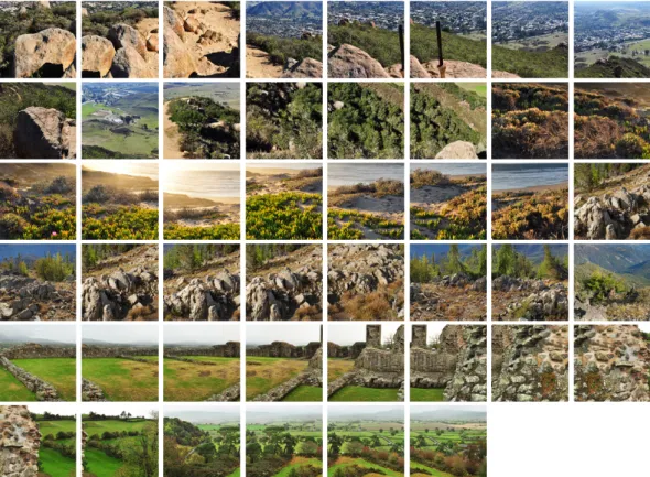 Figure A2. All input images used to generate the data set. Images are 2000 px × 2000 px sub-images from landscape images by Gregg M