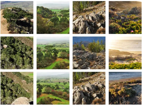 Figure 3. Examples of the images used to generate the dataset, shown are 12 of the 28 images