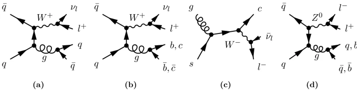 Figure 5.2.: Examples of Feynman diagrams for W/Z + jets production where q denotes a light quark: (a) W + light jets, (b) W b ¯ b/c¯c + jets, (c) W c + jets, and (d) Z(b ¯ b) + jets production