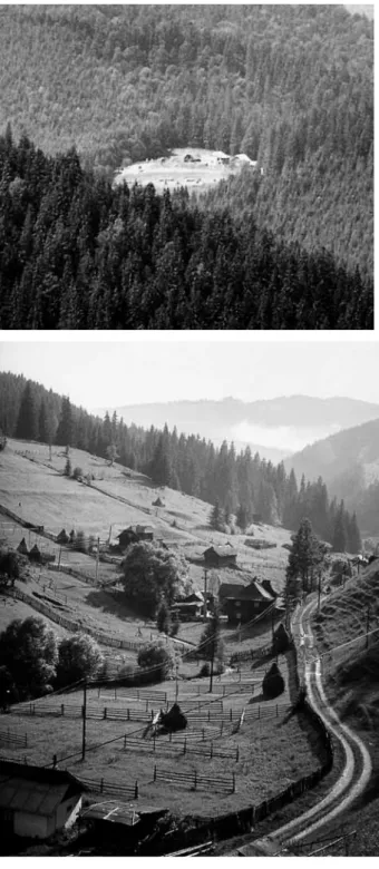 Abb. 4: Typische Einödhof- Einödhof-form in den Waldkarpaten  nahe des Ciumârna-Passes in  der Südbukowina, Rumänien