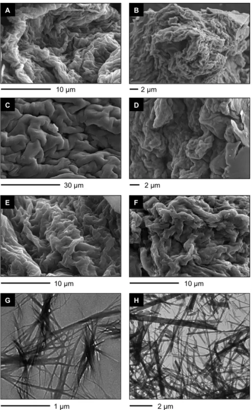 Figure 3.  (A–F) Representative field emission scanning electron microscope (FESEM)  images of xerogels prepared by freeze-drying the corresponding gel materials obtained at the  minimum gelation concentration (MGC) as indicated in Table 1: (A)  A4 in tolu