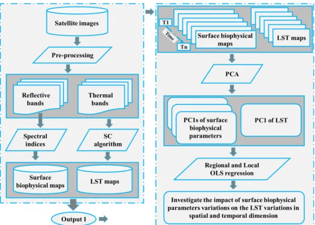 Figure 3. The flowchart of the analytical procedures. 