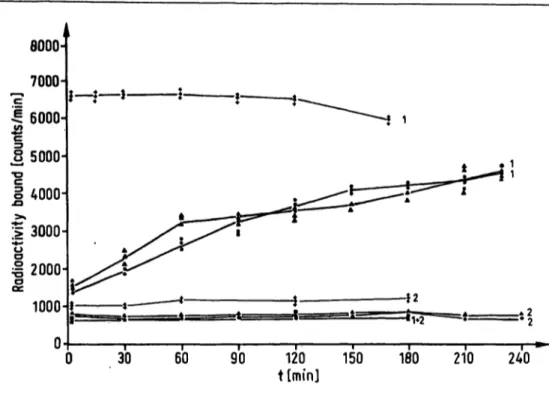 Fig. 2. Calcitonin assay: kinetics of the separation of bound and free antigen using polyethylene glycol (60 g/1), polyethylene glycol and second antibody and second antibody alone