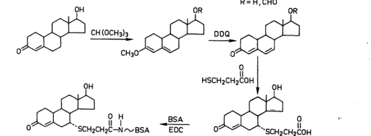 Fig. 1. Reaction scheme for the synthesis of the 19-nortestosterone-7«-carboxyethylthioether conjugate of bovine serom albumin