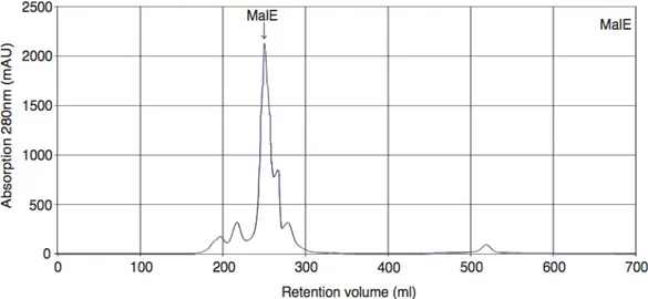 Figure 2.1.2.2. FPLC chromatogram MalE 