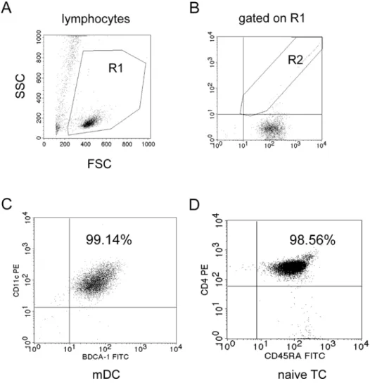 Figure 12: Isolation of human myeloid dendritic cells and T cells from peripheral blood