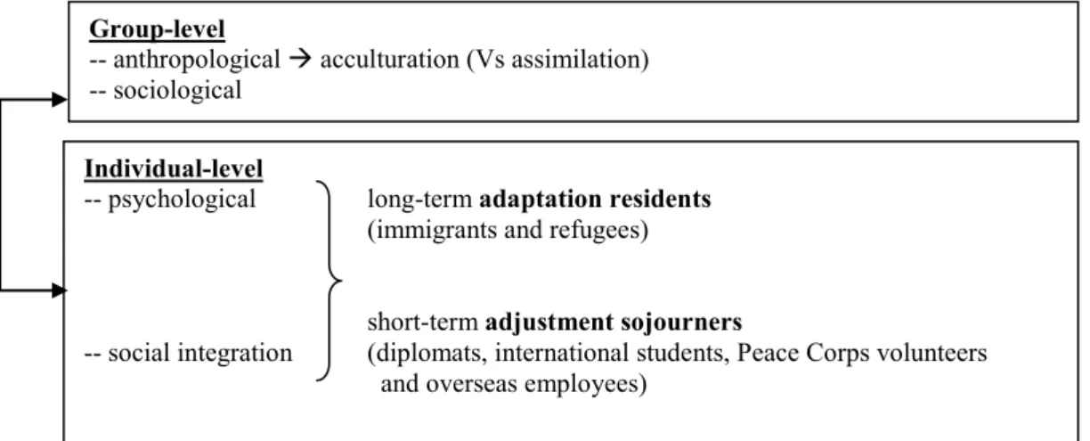 Figure 2-3: Multiple use of the term “adjustment” from different disciplines   Group-level 