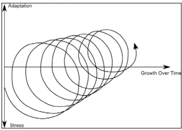 Figure 2-7: Stress-adaptation-growth dynamics  Source: Kim, 1988, p.56; Kim, 2007, p.249 