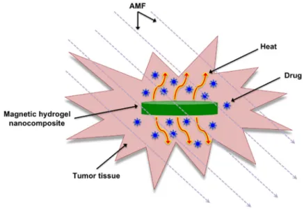 Figure 1. Basic illustration of thermo-responsive magnetic gel composites that can be  heated upon exposure to an AMF allowing for the controlled delivery of entrapped drugs