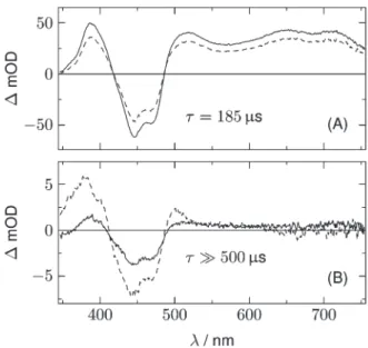Fig. 6 DADS from the analysis of the 2D-TA data for LOV2-C250S (full lines). Dashed lines represent the corresponding spectra after addition of 200 mM of β ME as the reducing agent.