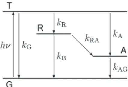 Fig. 8 Kinetic model used for data analysis, consisting of the ground state (G), the excited triplet state (T), the radical (R) and the adduct (A).