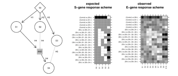 Fig. 1. Hyper-graphs and their response schemes The two matrices are an expected S-gene response scheme of the S-genes and a hypothetical noisy continuous observed E-gene response scheme of attached E-genes for the hyper-graph left