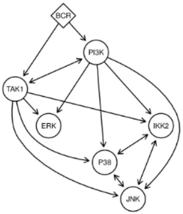 Fig. 5. ζ calibration Mean cross validated network scores as a function of the complexity parameter ζ