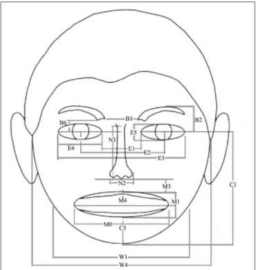 FIGURE 1 | Location of facial metrics used as inputs to the connectionist models trained on facial metrics