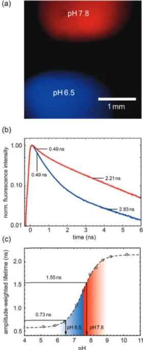 Fig. 5 FLIM based determination of pH values. (a) FLIM image of PAc–