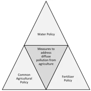 Figure 3. Measures to reduce nitrogen pollution from agriculture as an intersection of three policies