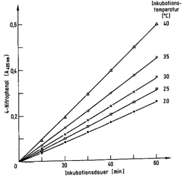 Abb. 8. Substratumsatz der Prostataphosphatase in Abhängigkeit zur Inkubationstemperatur und der Reaktionsdauer.