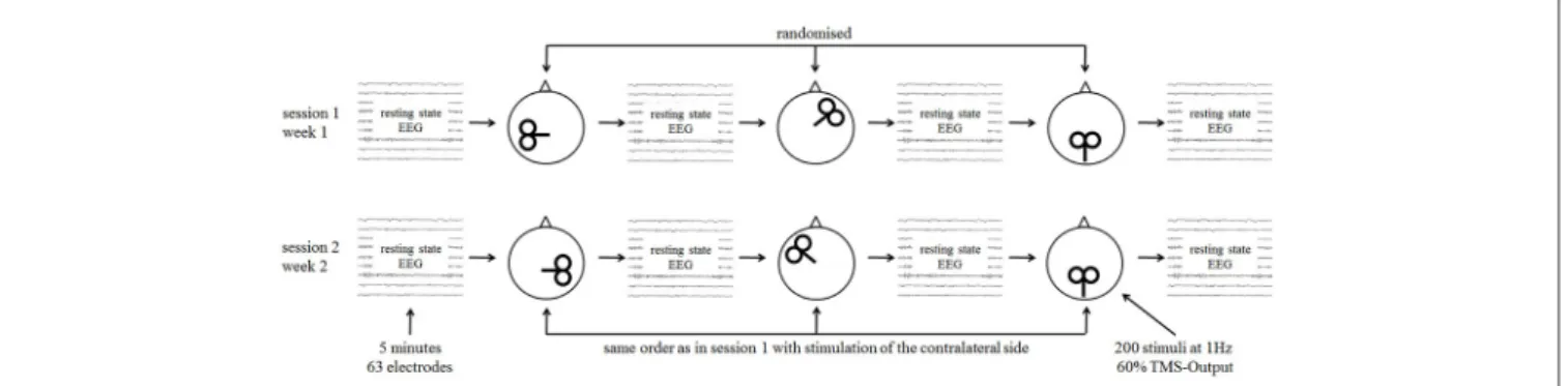FIGURE 1 | Study procedures with single sessions of repetitive transcranial magnetic stimulation (rTMS) and measurement with resting state electroencephalography (EEG).