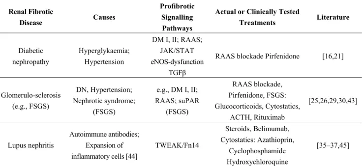 Table 1. Renal fibrotic diseases and its actual or clinically tested treatments. 