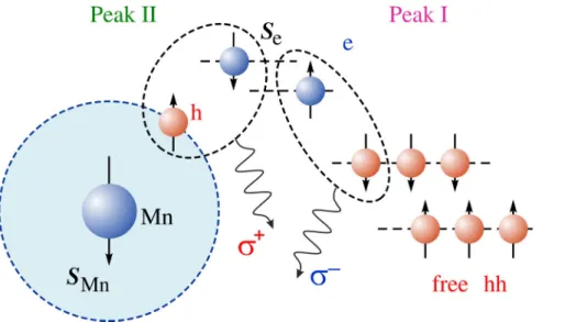 FIG. 7. Sketch of the optical transitions contributing to peaks I and II in  mag-netic field