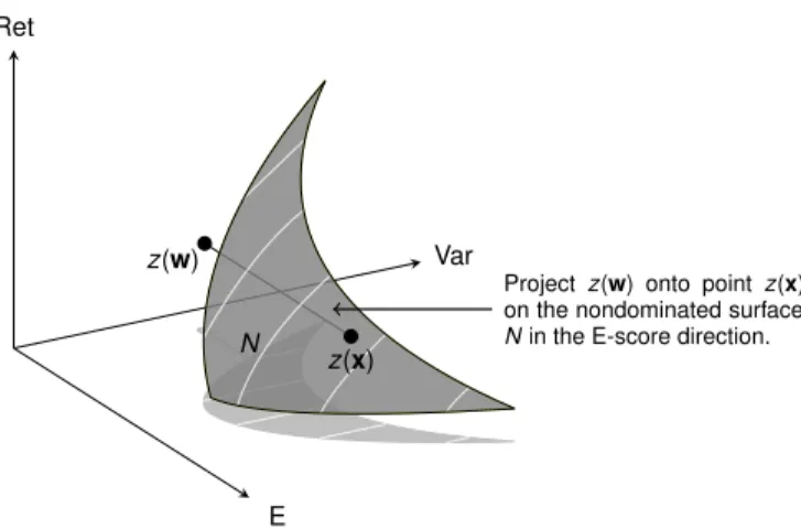 Figure 3: Projection of fund portfolio w onto the nondominated surface N in the E-score direction when the projection hits the nondominated surface.