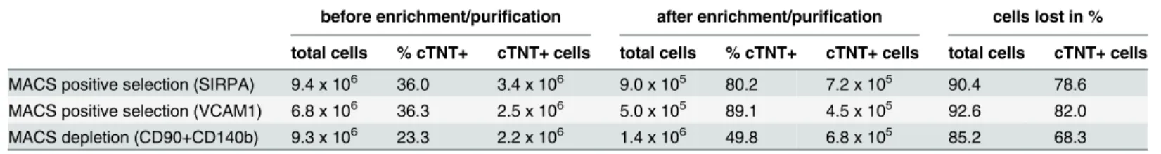 Table 1. Cardiomyocyte yields after enrichment by MACS or purification with lactate metabolic selection.
