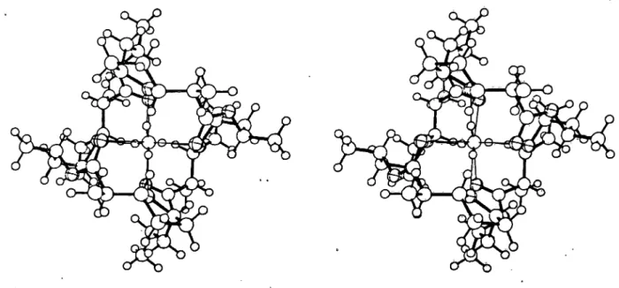 Abb. 2. Stereoskopische Aufnahme eines Modells des NH^-Nonactin-Komplexes (42).