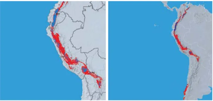 Figure 1: Current cultivation areas for quinoa (red and blue) in South America (right) and Bolivia/Peru (left) in comparison to  predicted cultivation areas in 2050 (blue only) (GIZ 2013) 