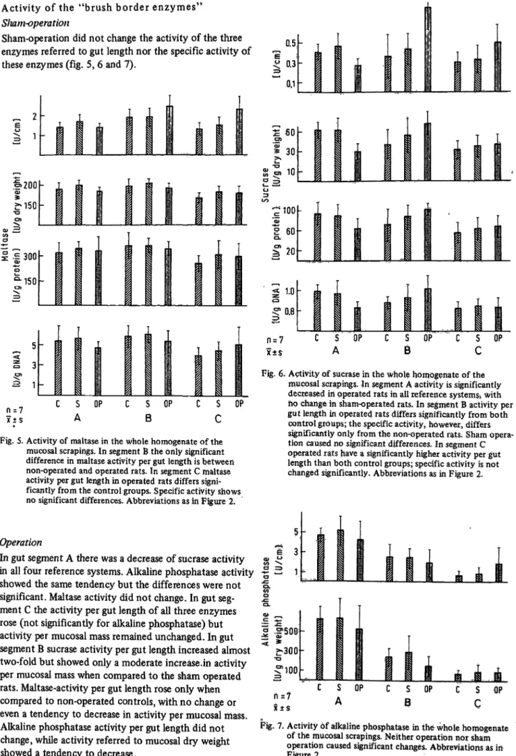 Fig. 6. Activity of sucrase in the whole homogenate of the mucosal scrapings. In segment A activity is significantly decreased in operated rats in all reference systems* with ho change in sham-operated rats