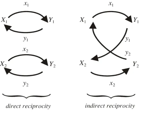 Figure II.1. A graphical illustration of the exchanges with direct and indirect reciprocity