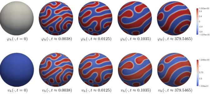 Figure 4. Numerical results for ϕ(·, 0) = 0 + R. First row: contour plots of ϕ(·, t) for several choices of times t; second row: corresponding contour plots of v(·, t).