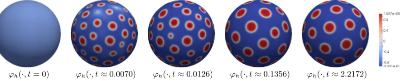 Figure 12. Numerical results for diffuse interface approximation of the full model (1.2)–(1.8).